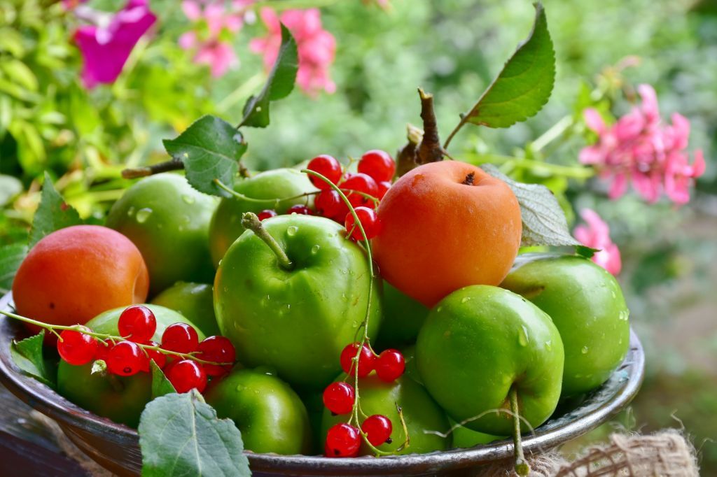 Apples_Currant_554117_2560x1706.jpg