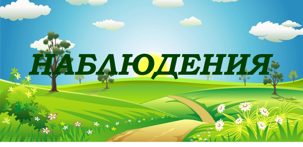 Безымянный.png